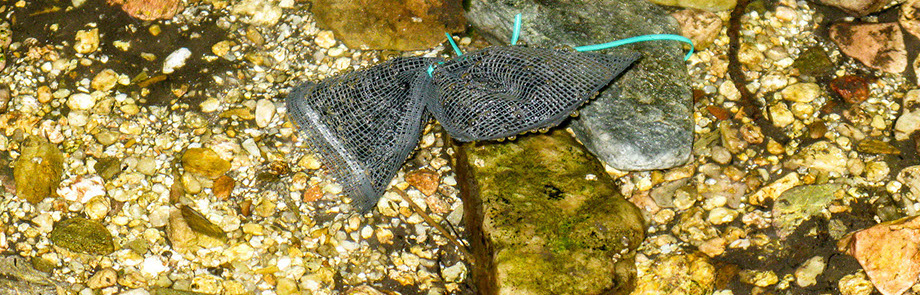 Charcoal packet placed in stream for dye tracing evaluation